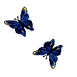 2papillons
